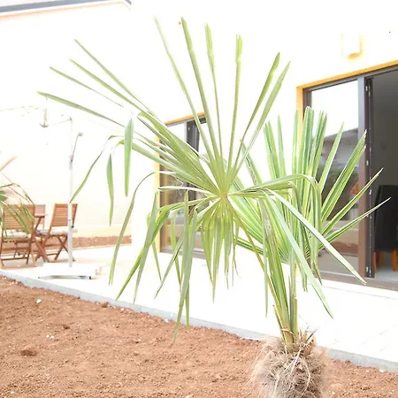 Villa Alpa Umag Room photo