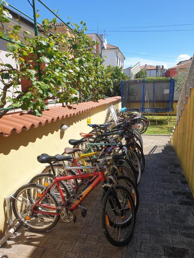 Alpa Appartement *